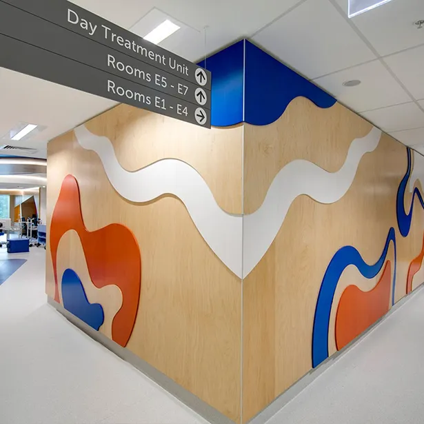 Perth Children’s Hospital project images